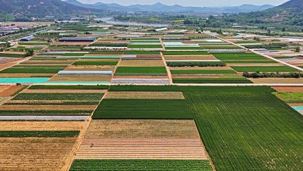 china america food supply