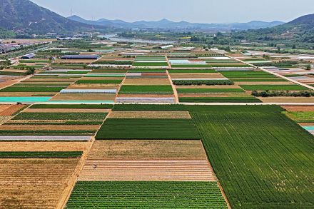 china america food supply