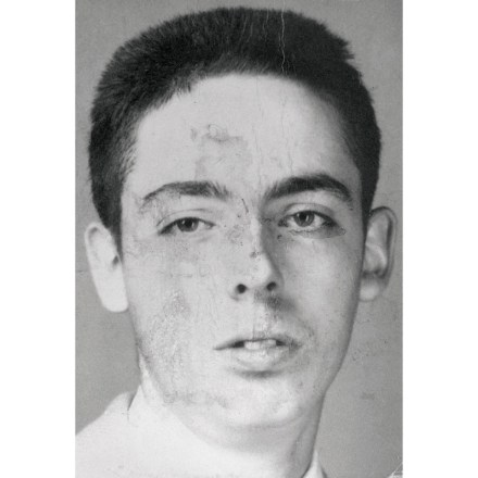 thomas pynchon shadow ticket