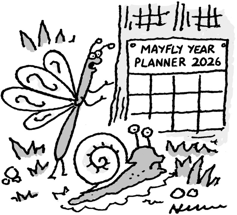 ‘Keir Starmer surviving has given me great hope for the future!’