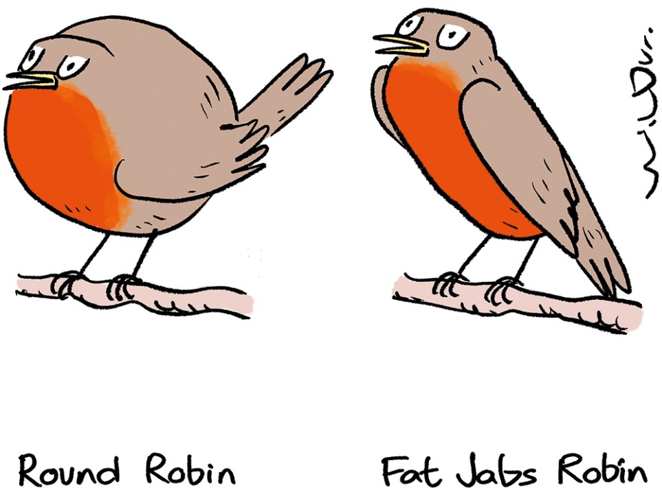 Robin