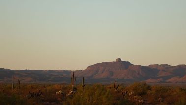 horseback last westerner