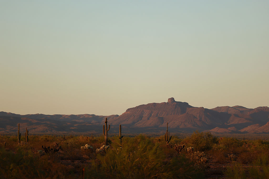 horseback last westerner