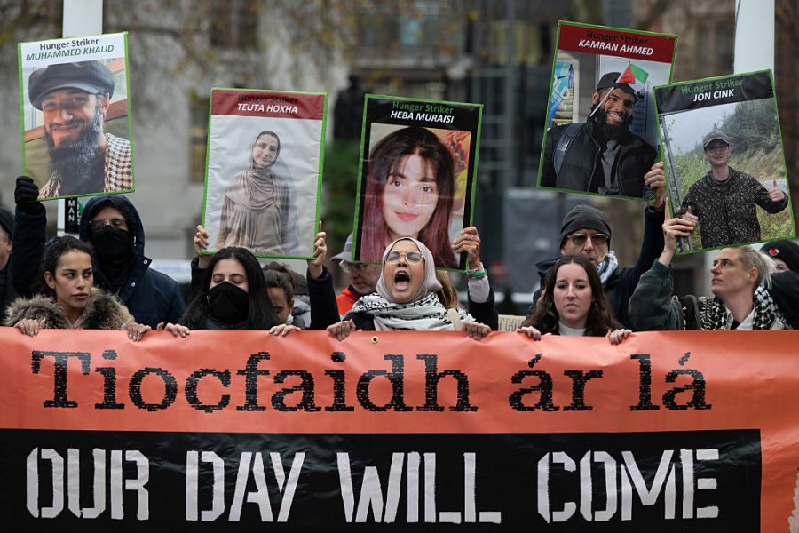 It's hard to take the Palestine Action hunger strikers seriously