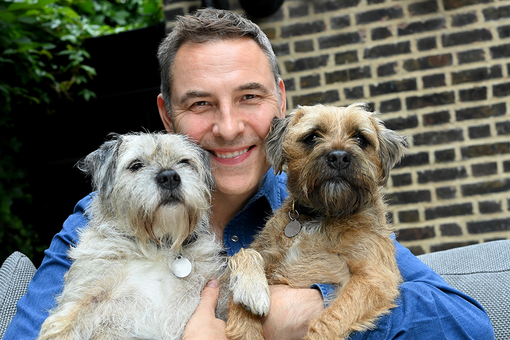 David Walliams verdient es, gecancelt zu werden