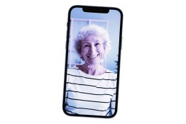 granny AI