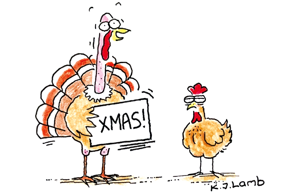 ‘And I’d vote Reform.’