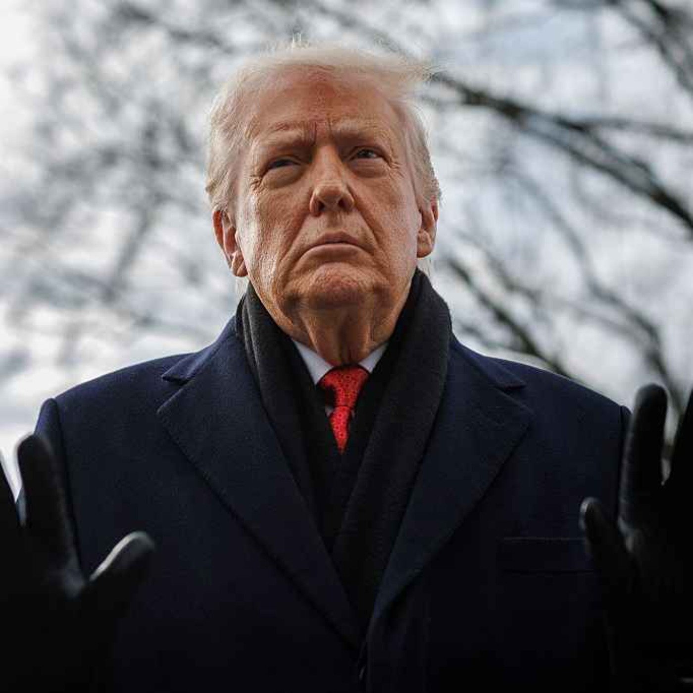 Greenland: why Europe needs to 'grow up' | with Tim Marshall