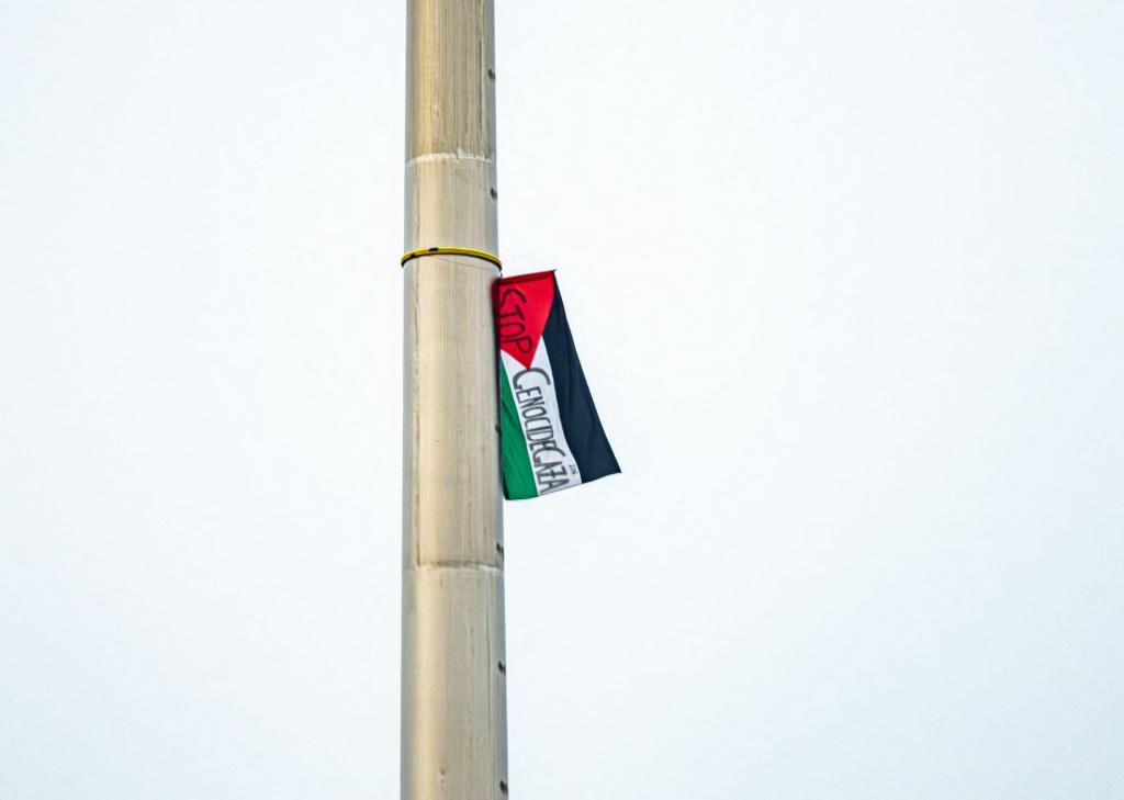 The Palestine flag that shames Dublin