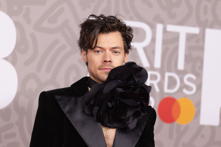 Has Harry Styles killed the music tour? | The Spectator