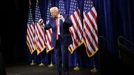 donald trump nation influence