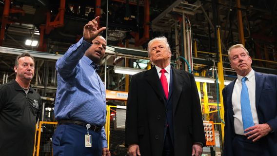 Trump pedophile protector