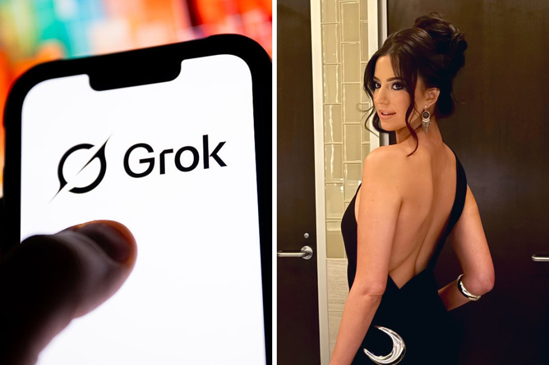 grok ashley st. clair