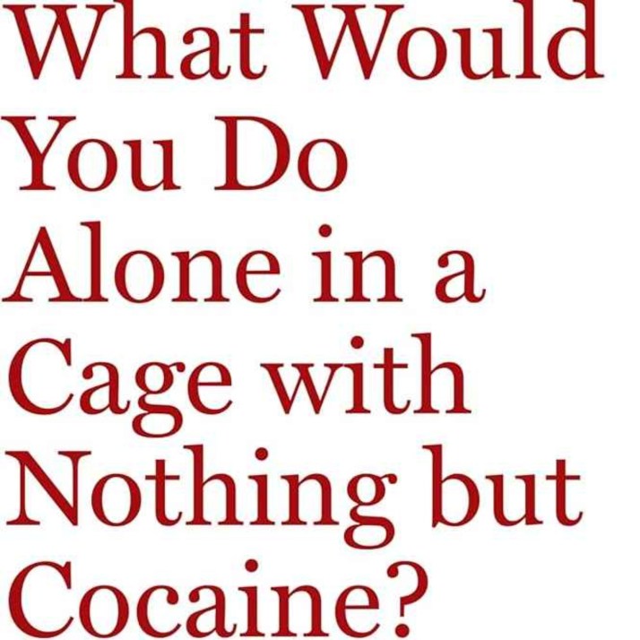 What Would You Do Alone in a Cage with Nothing but Cocaine?
