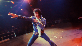 elvis