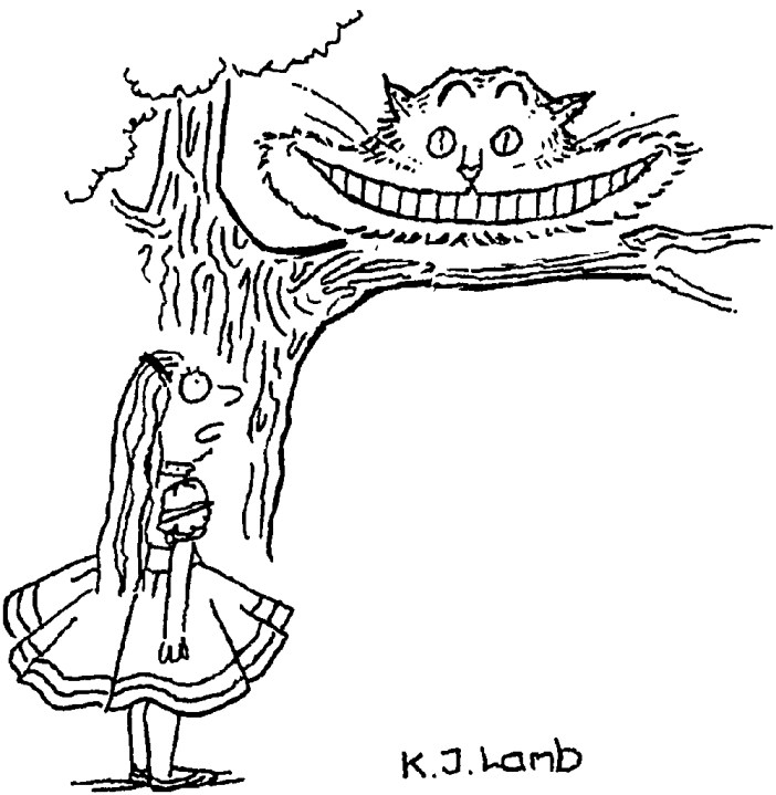 ‘You’ve had work done, haven’t you?’