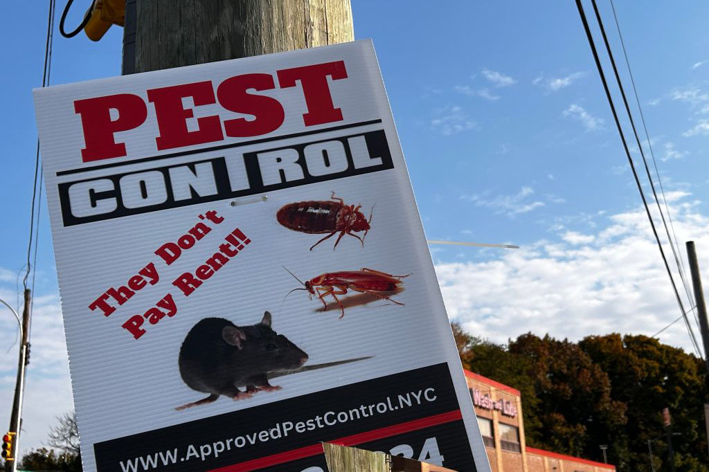 Roaches: the spirit animal of New York City