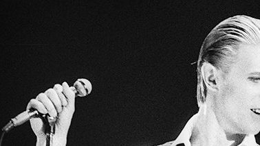 david bowie