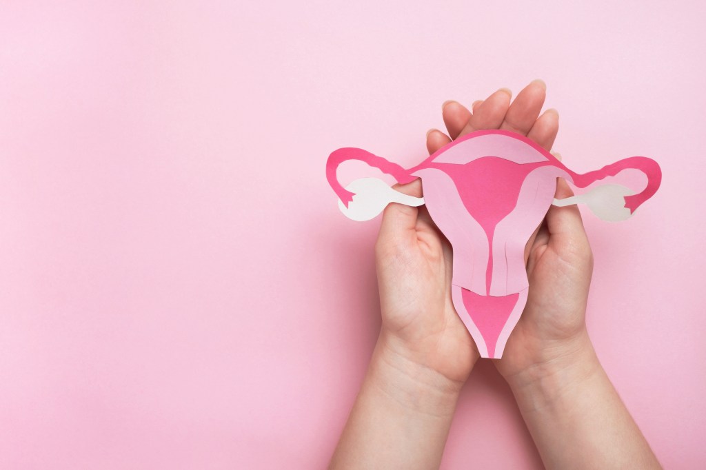 Is perimenopause a myth?