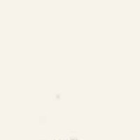 China is next – Trump’s Iran strategy explained with Maurice Glasman