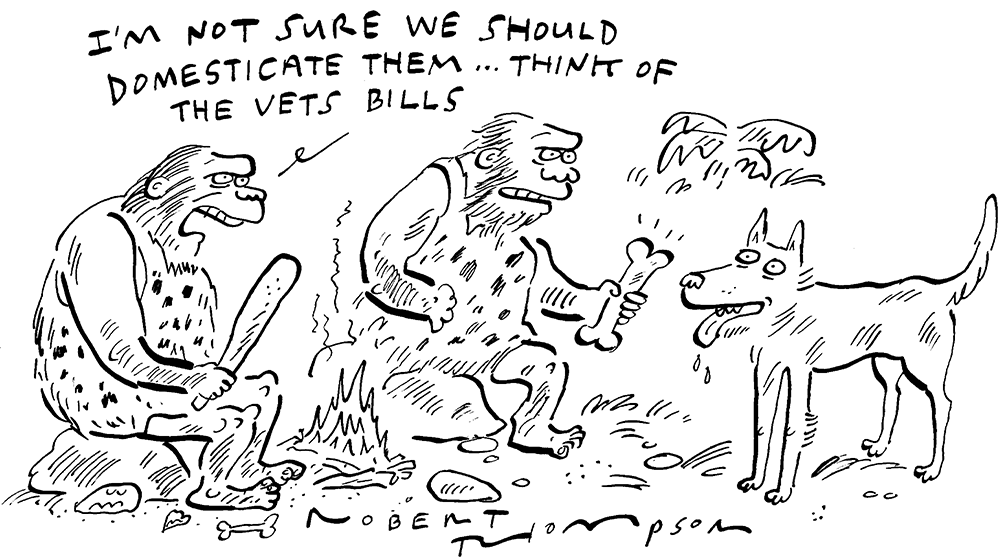 Vet bills