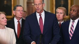 John Thune