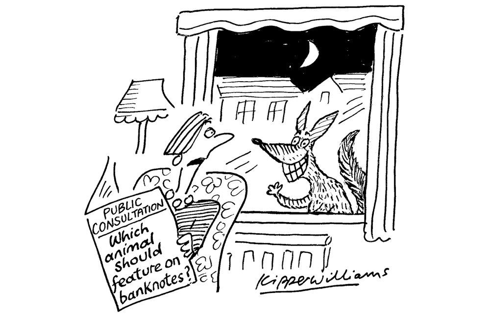 Which animal should feature on banknotes?