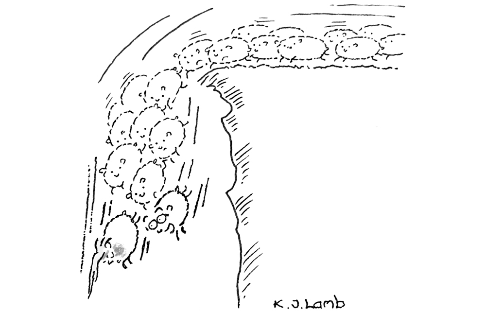 ‘So, what’s our next move?’