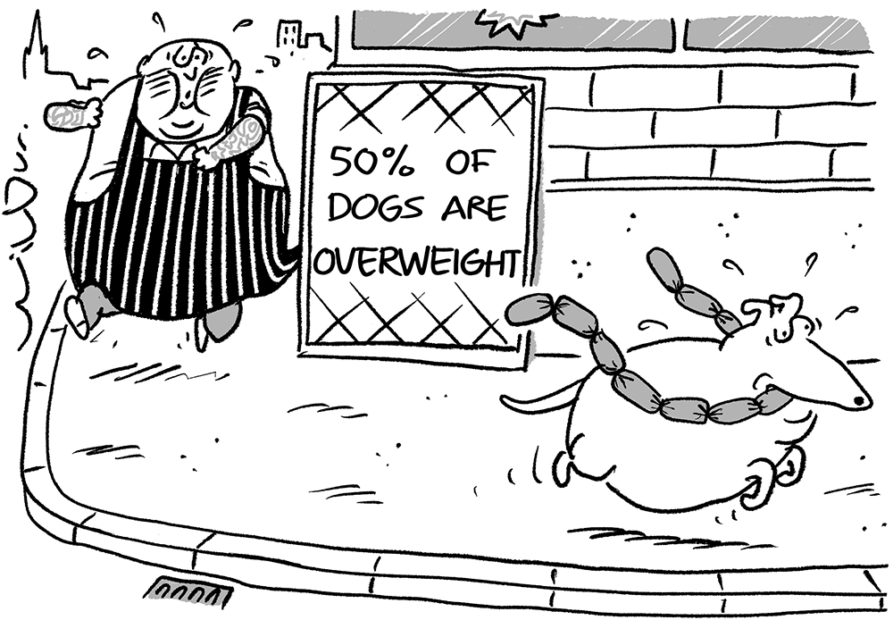 50% of dogs…
