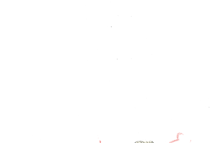 trump britain royals