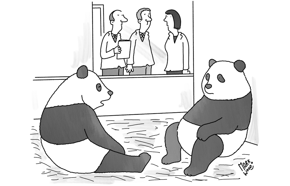 ‘Why can’t they just accept we don’t want kids?’