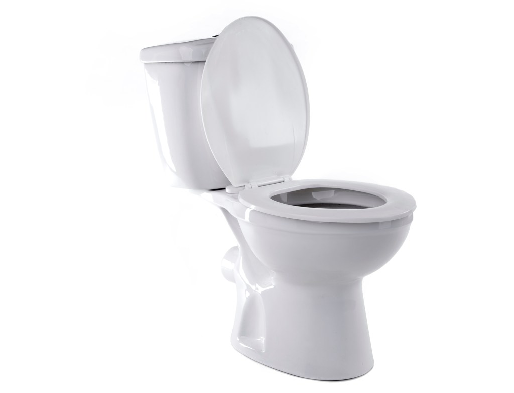 Why British toilets are revolting