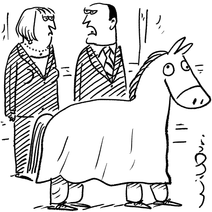 ‘It’s the best stalking horse we can muster.’