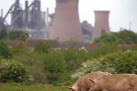How to revive industrial Britain: SDP leader on British steel, the entitlement state & a Farage pact