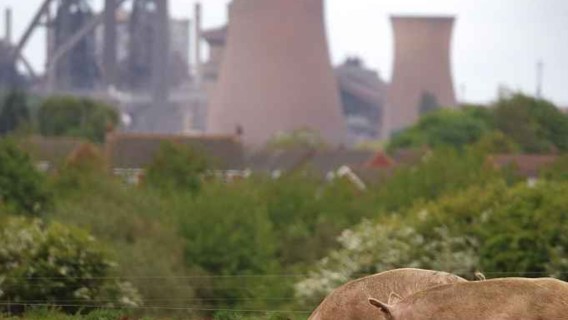 How to revive industrial Britain: SDP leader on British steel, the entitlement state & a Farage pact