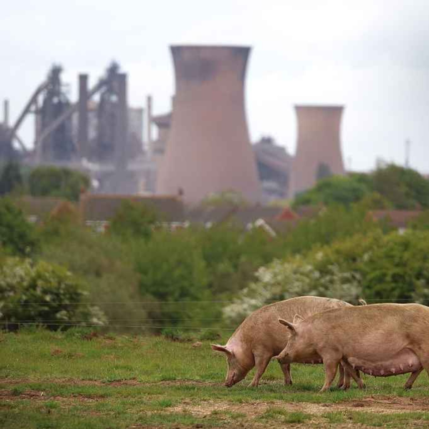 How to revive industrial Britain: SDP leader on British steel, the entitlement state & a Farage pact