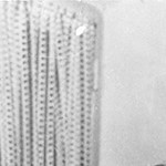 lady chatterley
