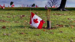 Canadian flag arranged on the side of a hill for Remembrance Day at a local Nova Scotia gravesite for a veteran who served in the Canadian Armed Forces.