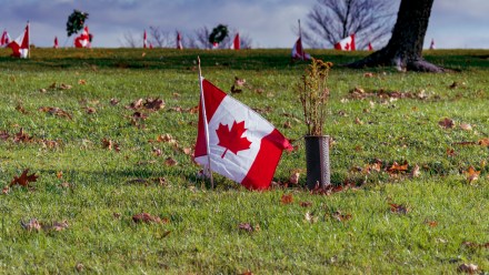 Canadian flag arranged on the side of a hill for Remembrance Day at a local Nova Scotia gravesite for a veteran who served in the Canadian Armed Forces.