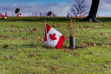 Canadian flag arranged on the side of a hill for Remembrance Day at a local Nova Scotia gravesite for a veteran who served in the Canadian Armed Forces.