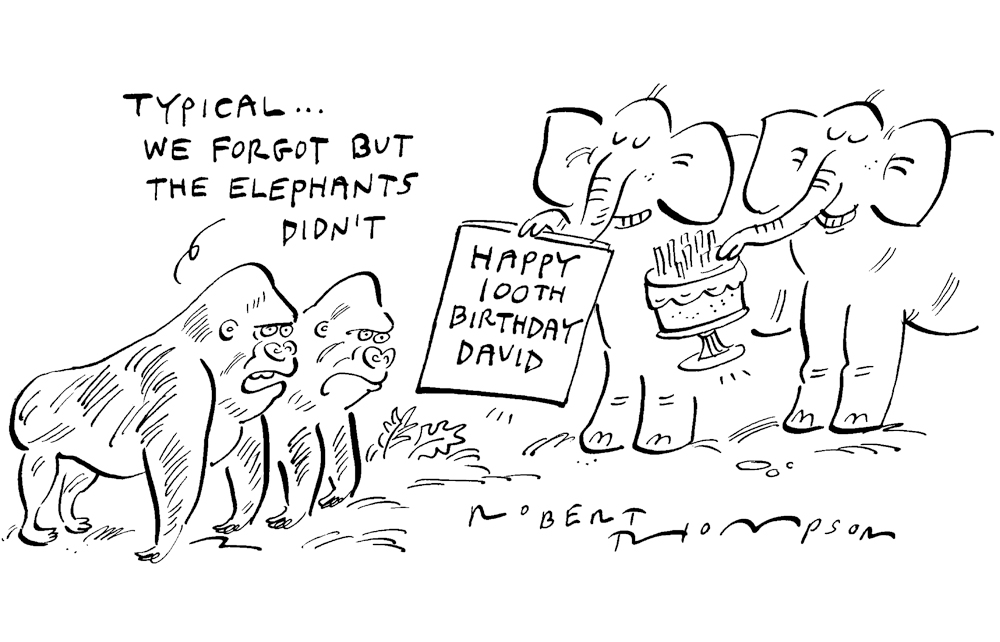 We forgot but the elephants didn’t