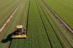 How to save American farming