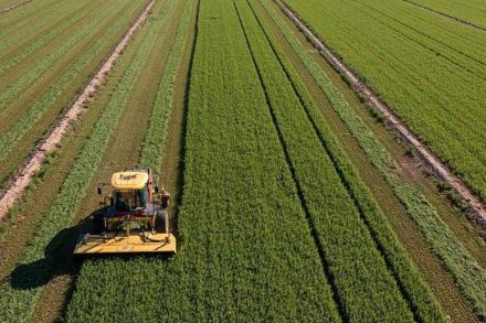 How to save American farming