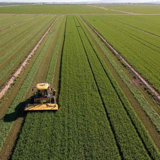 How to save American farming