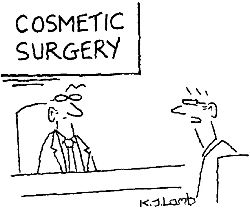 ‘I’d like my upper lip stiffened, but leave a wobble in the lower one to show I’m in touch with my emotions.’