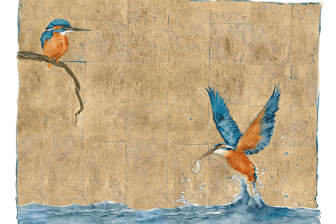 birds