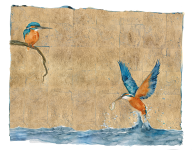 birds