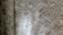 mario vargas llosa