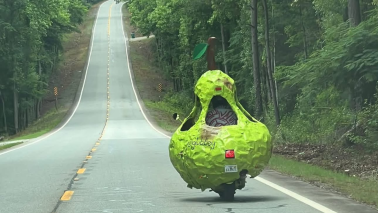 pear