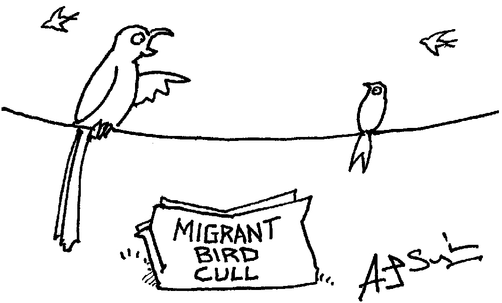 ‘It won’t affect me – I was born here.’